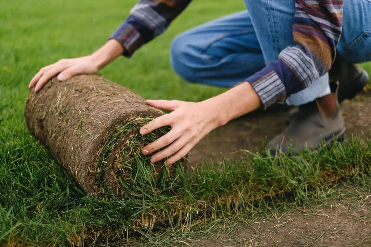 Artificial Turf Installation in Amarillo, TX